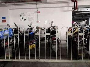 花果園停車場服務提升進行時 分區停放、油電分離與導視優化