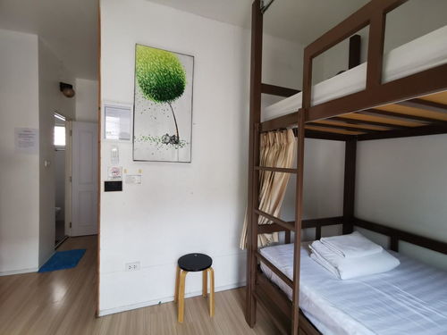探索清邁新潮流 Bunk Boutique Hostel Chiang Mai雙層精品旅館，Agoda輕松訂房體驗(yàn)